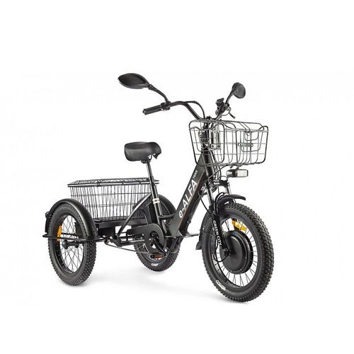 Трехколесный электровелосипед Трицикл GREEN CITY e-ALFA Trike 